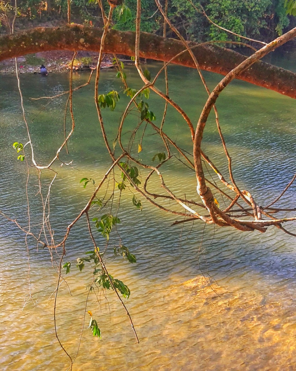 May month in&nbsp;Belize