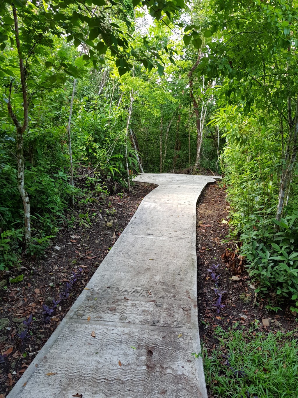 Obedience and Thankfulness